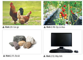 Hình 2.9 đến 2.12