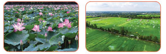 Mênh mông mùa nước nổi