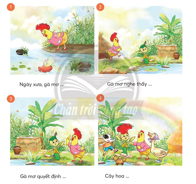 Sự tích hoa mào gà