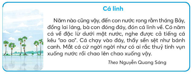 Cá linh