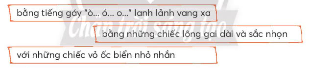 Chọn từ ngữ