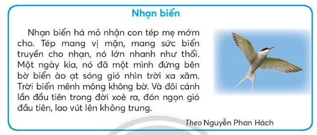 Ôn tập cuối học kì I
