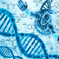 Kế hoạch dạy học môn Sinh học 11 sách Kết nối tri thức với cuộc sống