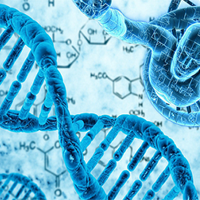 Kế hoạch dạy học môn Sinh học 12 sách Chân trời sáng tạo