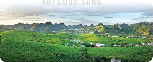 Chọn dấu hỏi hoặc dấu ngã