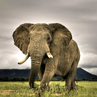 Tóm tắt văn bản Ông Một (7 mẫu) 