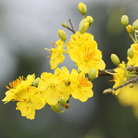 Tình cảm của đồng đội và nhân dân dành cho người lính đã hy sinh