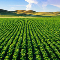 Bộ đề thi giữa học kì 1 môn Công nghệ 10 năm 2024 - 2025 sách Kết nối tri thức với cuộc sống