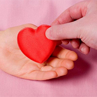 Văn mẫu lớp 10: Tóm tắt tác phẩm Yêu và đồng cảm của Phong Tử Khải 