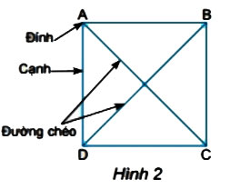 Hình 2