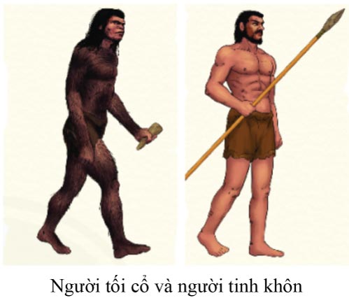 Quá trình tiến hóa từ vượn thành người