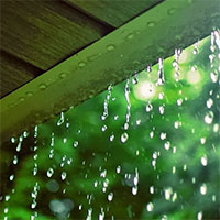 Tập làm văn lớp 5: Tả một cơn mưa dông (3 mẫu)