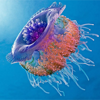 Sinh học 10 Bài 12: Truyền tin tế bào