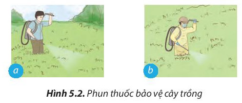 Hình 5.2