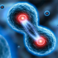 KHTN Lớp 7 Bài 25: Hô hấp tế bào