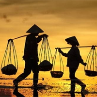 Văn mẫu lớp 11: Phân tích sự vận dụng sáng tạo hình ảnh, ngôn ngữ văn học trong bài Thương vợ 