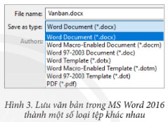 MS Word 2016