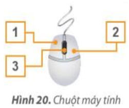 Hình 20