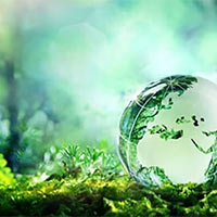 KHTN Lớp 7 Bài 27: Trao đổi khí ở sinh vật