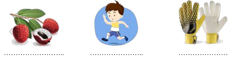 Bài tập cuối tuần lớp 2 môn Tiếng Việt CTST
