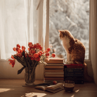 Nêu cảm nhận về tính cách của nhân vật người bố trong Vừa nhắm mắt vừa mở cửa sổ