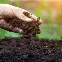 Viết đoạn văn về ô nhiễm đất bằng tiếng Anh (5 Mẫu)