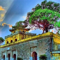 Theo bạn, sức sống của một cộng đồng được nuôi dưỡng từ đâu?