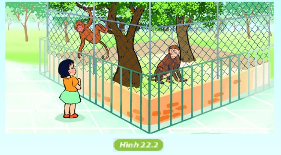 Hình 22.2
