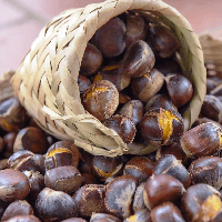 Nêu cảm nhận của em khi đọc văn bản Mùa thu về Trùng Khánh nghe hạt dẻ hát (6 mẫu) 