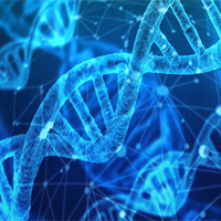 Bộ đề thi giữa học kì 1 môn Sinh học 10 năm 2025 - 2026 sách Kết nối tri thức với cuộc sống