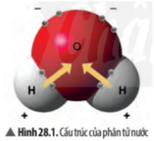 Hình 28.1