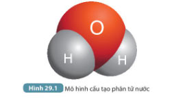 Hình 29.1