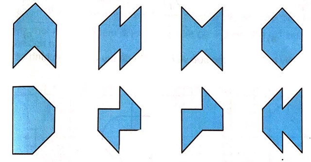 Bài 13