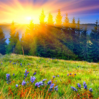 Văn mẫu lớp 10: Phân tích bài thơ Nắng đã hanh rồi (Dàn ý + 4 Mẫu)