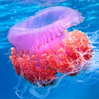 KHTN Lớp 7 Bài 20: Thực hành về quang hợp ở cây xanh