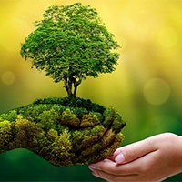 Viết đoạn văn vận động mọi người chung tay bảo vệ rừng (3 mẫu)