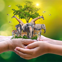 Phân biệt trao đổi khí ở động vật và thực vật