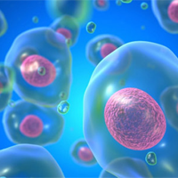 KHTN Lớp 7 Bài 21: Hô hấp tế bào