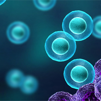 KHTN Lớp 7 Bài 22: Các yếu tố ảnh hưởng đến hô hấp tế bào