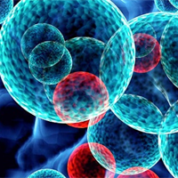 KHTN Lớp 7 Bài 23: Trao đổi khí ở sinh vật