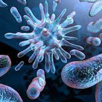 Sinh học 10 Bài 12: Thực hành Sự vận chuyển các chất qua màng sinh chất