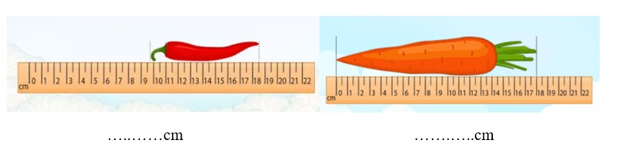 Bài tập cuối tuần môn Toán lớp 3 Cánh Diều