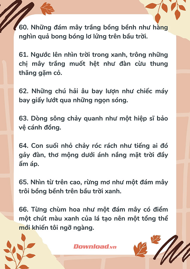 Các câu so sánh trong văn miêu tả