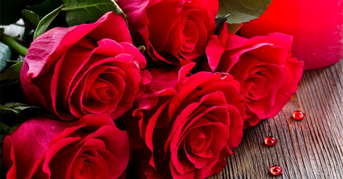 Lời chúc 20/11 người yêu