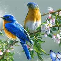 Mở bài Thơ duyên của Xuân Diệu (11 Mẫu)