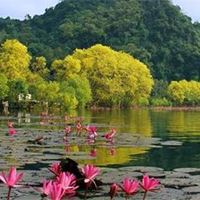 Dàn ý phân tích Hương Sơn phong cảnh (3 Mẫu)