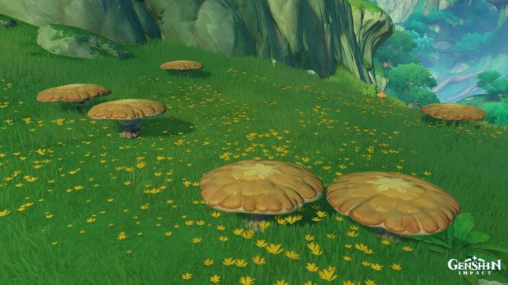 Bouncy Mushroom trong Genshin Impact