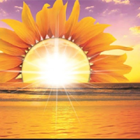 Mở bài Nắng đã hanh rồi