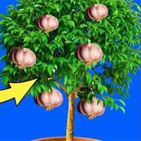 Đề cương ôn tập học kì 1 môn Công nghệ 7 sách Kết nối tri thức với cuộc sống