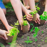 Đề cương ôn tập học kì 1 môn Công nghệ 7 sách Chân trời sáng tạo